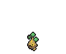 Bonsly