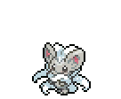 Cinccino