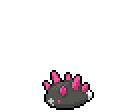 Pyukumuku