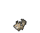 Skwovet