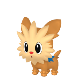 Sprite of Lillipup in Pokémon HOME