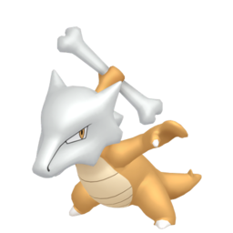 Sprite of Marowak in Pokémon HOME