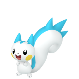 Pachirisu (Female)