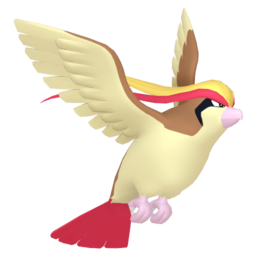 Sprite of Pidgeot in Pokémon HOME