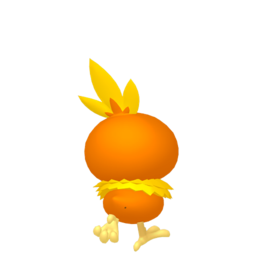 Torchic (Male, Back)