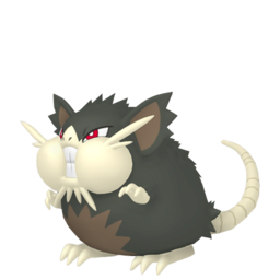 Sprite of Totem Raticate in Pokémon HOME