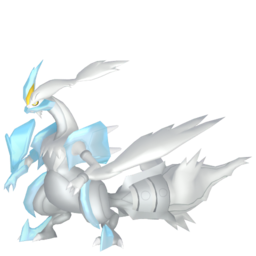 Pokemon Zekrom Reshiram 256