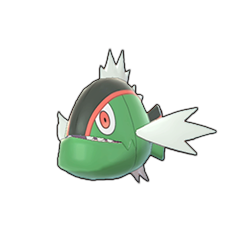 Sprite of Basculin in Pokémon Sword/Shield