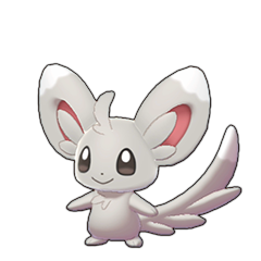 Minccino • Sword & Shield Pokédex • Marriland.com