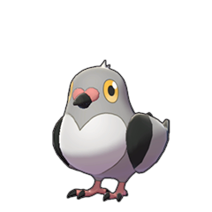 Pidove • Sword & Shield Pokédex • Marriland.com