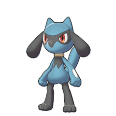 Riolu • Sword & Shield Pokédex • Marriland.com