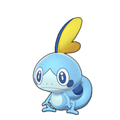 Sprite of Sobble in Pokémon Sword/Shield