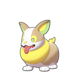 Yamper • Sword & Shield Pokédex • Marriland.com