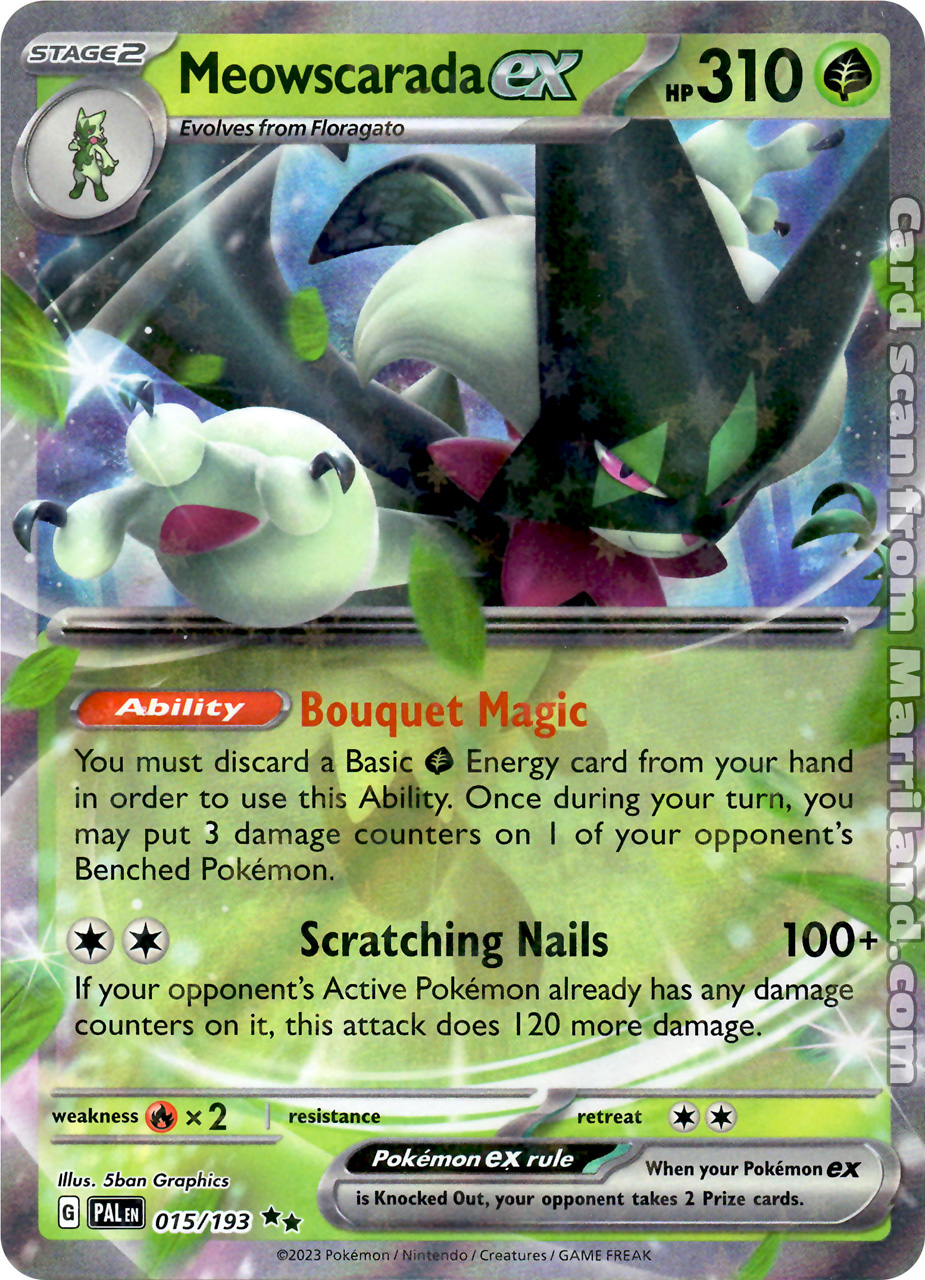 Pokémon TCG Database •