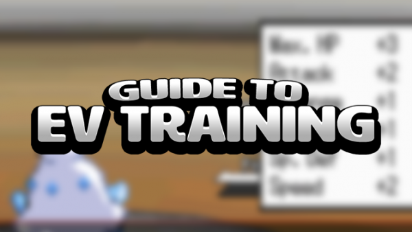 Guide to EV Training