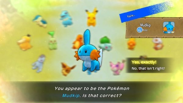 “You appear to be the Pokémon Mudkip. Is that correct?”