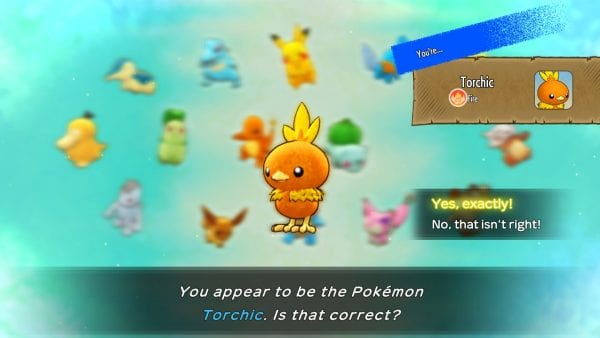 “You appear to be the Pokémon Torchic. Is that correct?”