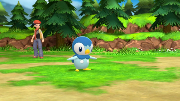 Piplup in battle