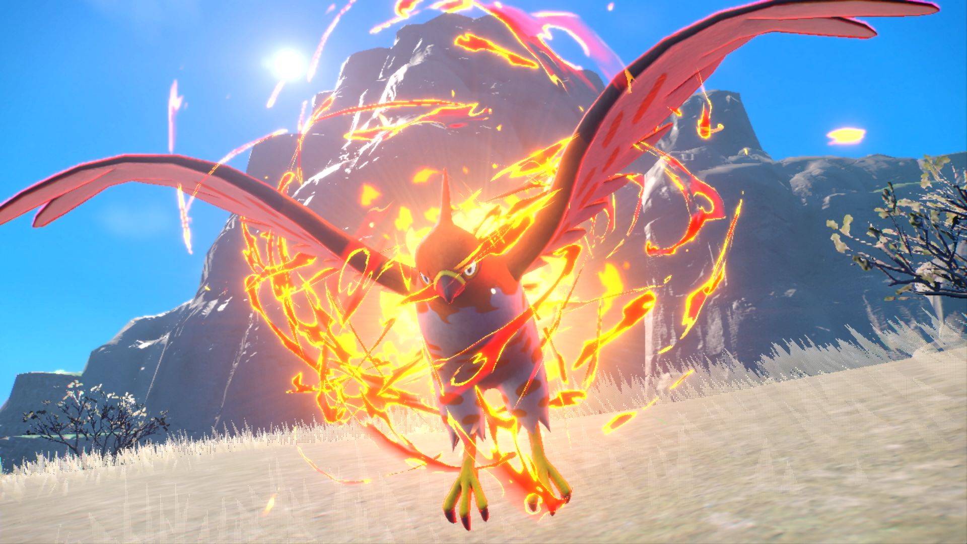 Talonflame using an attack