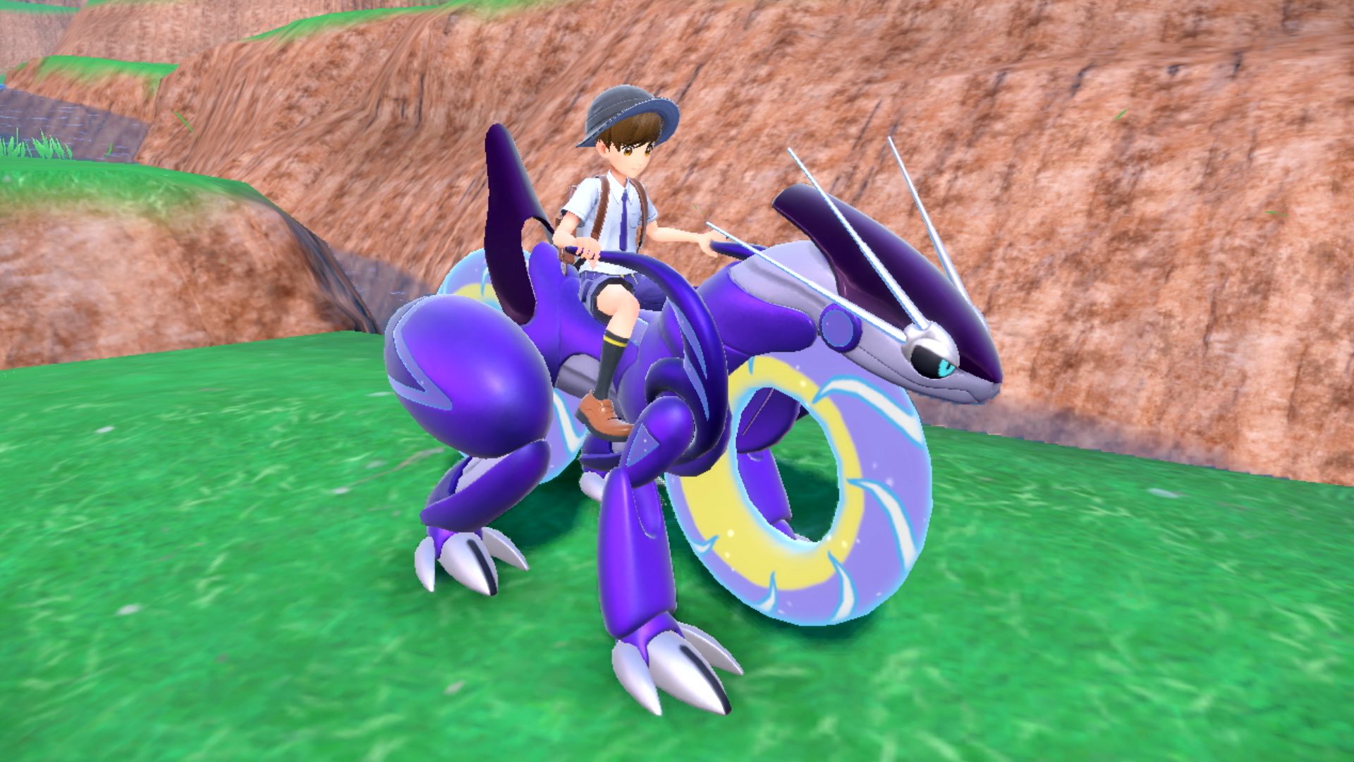 My Koraidon glitched during the mountain minigame. Looks like an Alolan  Koraidon. : r/PokemonScarletViolet