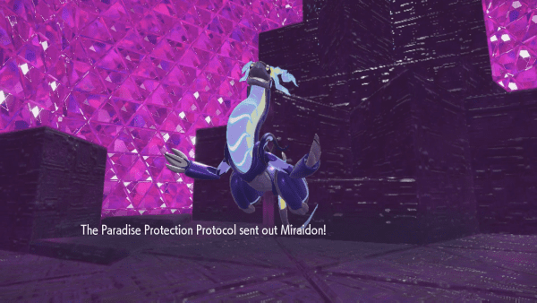 The Paradise Protection Protocol sent out Miraidon!
